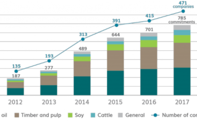 Deforestation: New Guidelines to Strengthen Company Commitments