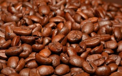 Which coffee brands tell their sustainability stories best?