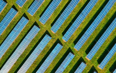 Black becomes the new green in the UK countryside