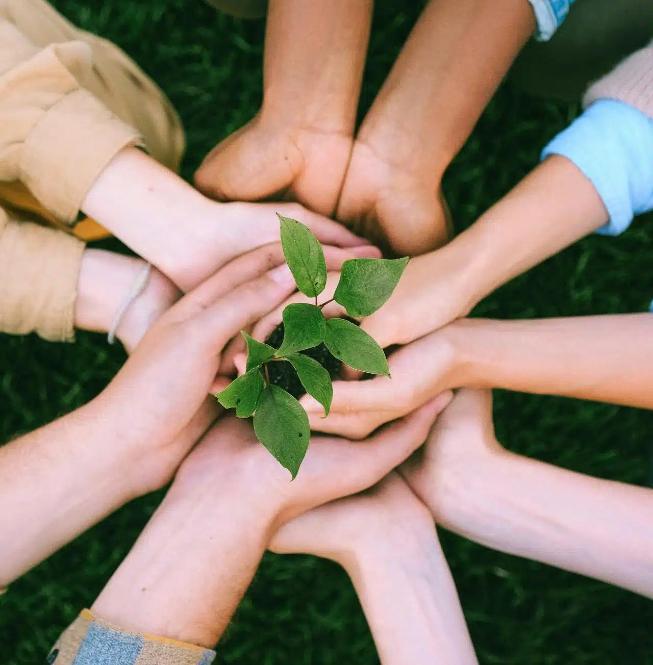 People and Sustainability