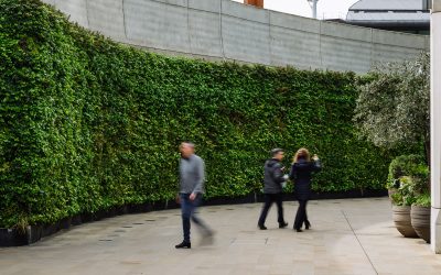 Environmental Social and Governance Reporting: A Complete Guide for 2024